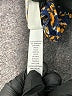 Lularoe Print Blue Casual Pants Size 1X (Tall & Curvy) - photo 8