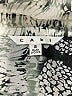 CAbi 100% Polyester Animal Print Silver Long Sleeve Blouse Size S - photo 7