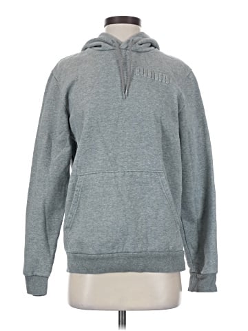 Puma Pullover Hoodie (view 1)