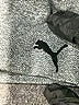 Puma Gray Sports Bra Size M - photo 6