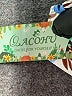 Assorted Brands Print Blue Casual Dress Size M - photo 7