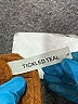 Tickled Teal Brown Cardigan Size L - photo 7