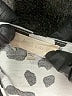 Altar'd State Ivory Casual Dress Size XS - photo 7