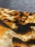 Othyroce Animal Print Brown 3/4 Sleeve Blouse Size 2X - photo 7