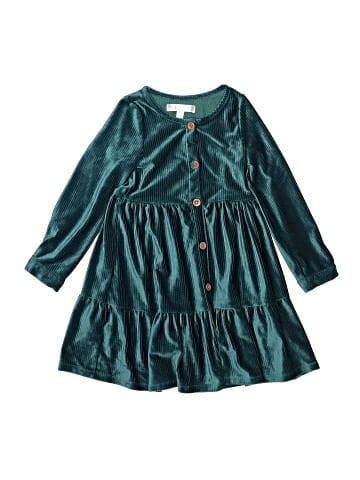 Biscotti Dress (view 1)