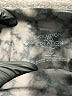 Evolution and Creation Animal Print Gray Active Pants Size S - photo 4