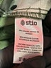 Stio Green Casual Pants Size 6R - photo 6