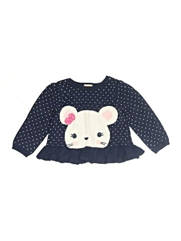Gymboree Pullover Sweater (view 1)