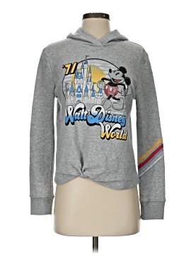 Disney Parks Sweatshirt