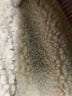 Unbranded Brown Coat Size XL (estimated) - photo 6