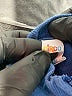 Circo 100% Cotton Solid Blue Denim Jacket 0-3 MO / 3 MO - photo 3