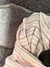 Moth Stripes Ivory Short Sleeve Onesie 3-6 MO / 6 MO - photo 4