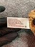 Future Collective Tan Cargo Pants Size L - photo 5