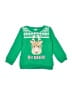 Carter's Print Green Pullover Sweater Size 2T - photo 1