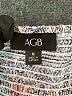 AGB 100% Polyester Blue 3/4 Sleeve Blouse Size M - photo 4