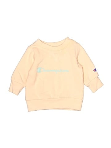 Champion Sweatshirt (view 1)