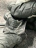 Knot Sisters Solid Gray Turtleneck Sweater Size M - photo 8