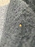 Sandro 100% Wool Gray Wool Coat Size XL - photo 7