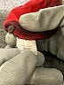Madewell 100% Cotton Red Cardigan Size XS - photo 8