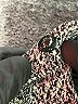 Assorted Brands Gray Turtleneck Sweater Size 0 - photo 7