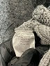 Stitches & Stripes Gray Pullover Sweater Size M - photo 8