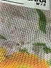 Zara Print Tan Casual Dress Size S - photo 7