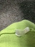 Be Cool Green Pullover Sweater Size M - photo 8
