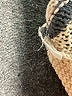 American Eagle Outfitters Stripes Ivory Pullover Sweater Size S - photo 8