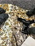 Forever 21 Animal Print Gold Casual Pants Size L - photo 6