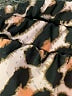 Unbranded Animal Print Gold Black Swimsuit Bottoms Size M - photo 3