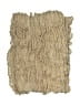 Charming Charlie Tan Scarf One size - photo 2