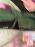 Lularoe Floral Green Formal Skirt Size S - photo 4