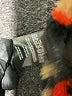 32 Degrees Camo Orange Jacket Size XS (kids) - photo 4