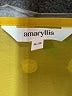 Amaryllis Yellow Kimono Size XL - photo 7