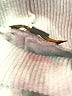Truth Gray Sleeveless Top Size XS - photo 7