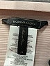 BCBGMAXAZRIA Solid Ivory Gray Casual Skirt Size XS - photo 4