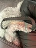 Lululemon Athletica Gray Turtleneck Sweater Size 10 - photo 7