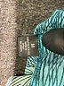 Willi Smith 100% Polyester Teal 3/4 Sleeve Blouse Size M - photo 8