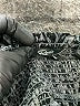 Rails Animal Print Black Casual Skirt Size M - photo 3