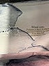 Assorted Brands Print White Leggings Size M - photo 7