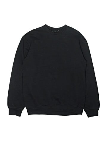 Champion Sweatshirt (view 1)