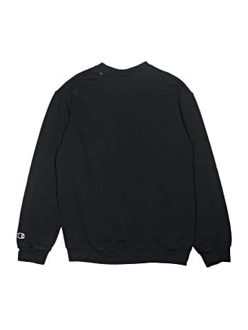Champion Sweatshirt (view 2)