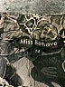 Miss Behave Animal Print Gray Skirt Size 14 - photo 3