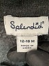 Splendid Gray Sweatpants Size 12-18 mo - photo 3