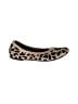 Jellypop Animal Print Brown Ivory Flats Size 6 - photo 1