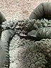 Unbranded 100% Polyester Gray Pullover Sweater Size 1XL - photo 7