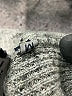 Lanvin 100% Cashmere Gray Cashmere Pullover Sweater Size M - photo 8