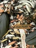 Free People Tweed Brown Pullover Sweater Size XS - photo 6