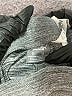 Puma Gray Sweatpants Size 3T - photo 4
