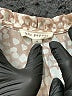 Blu Pepper 100% Polyester Paisley Tan Casual Dress Size S - photo 7